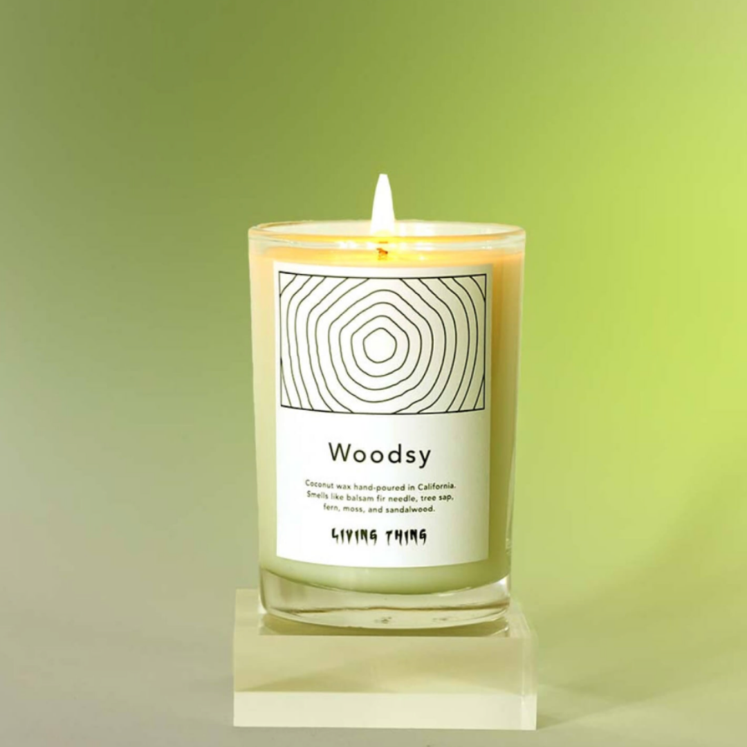 Woodsy: Tree Sap, Oakmoss + Sandalwood Candle